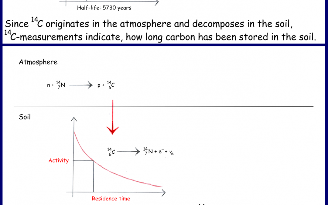 Current climate models overestimate soil carbon uptake capacities