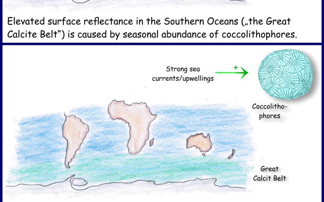 Lime formation in the Southern Oceans