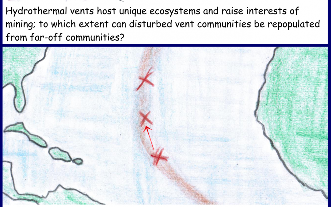 Exchange between isolated deep sea vents