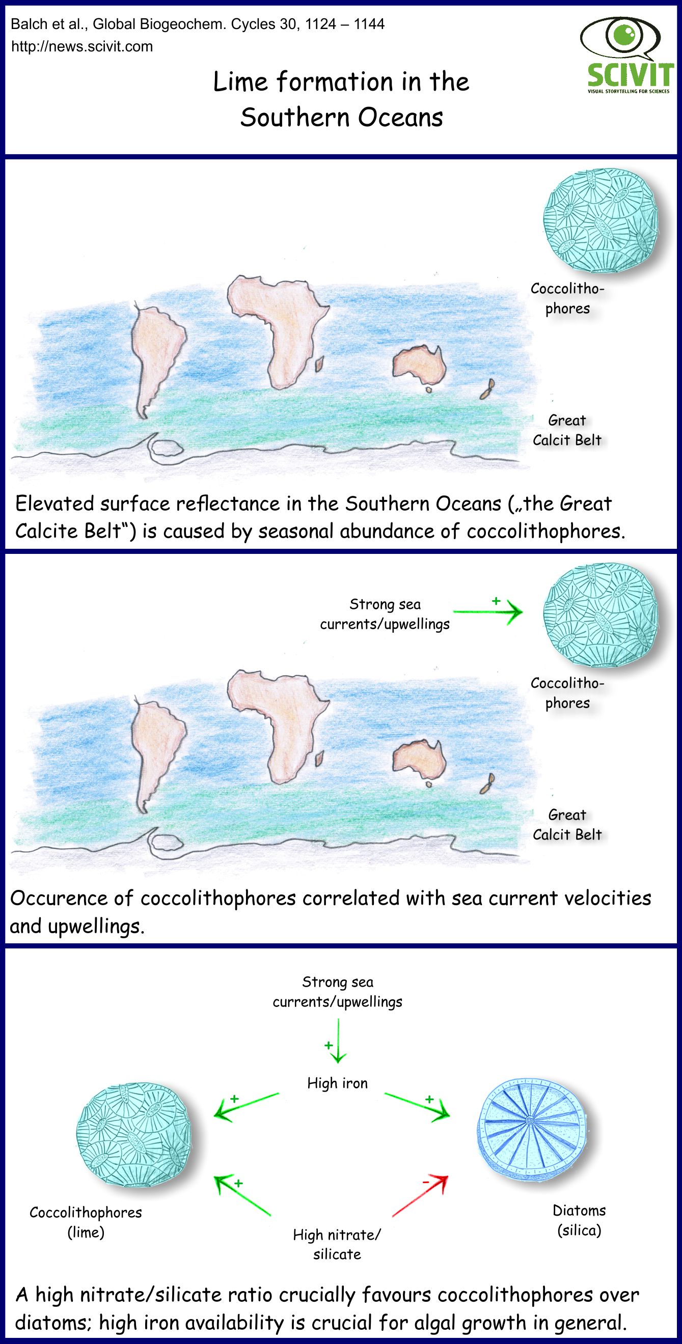 Lime formation in the Southern Oceans