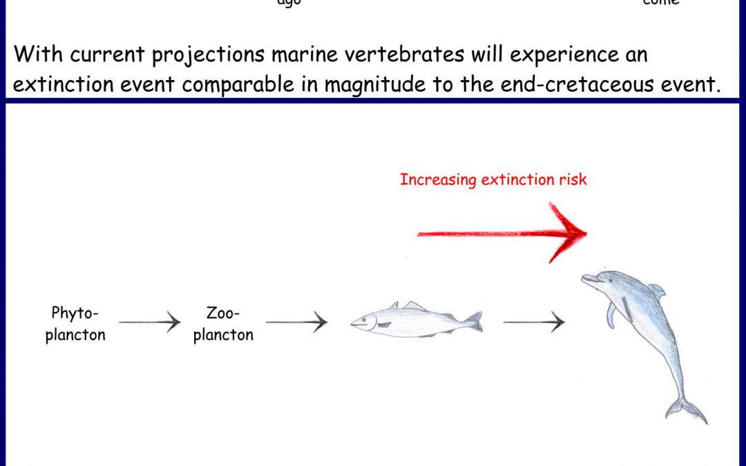 Are humans worse than asteroids?