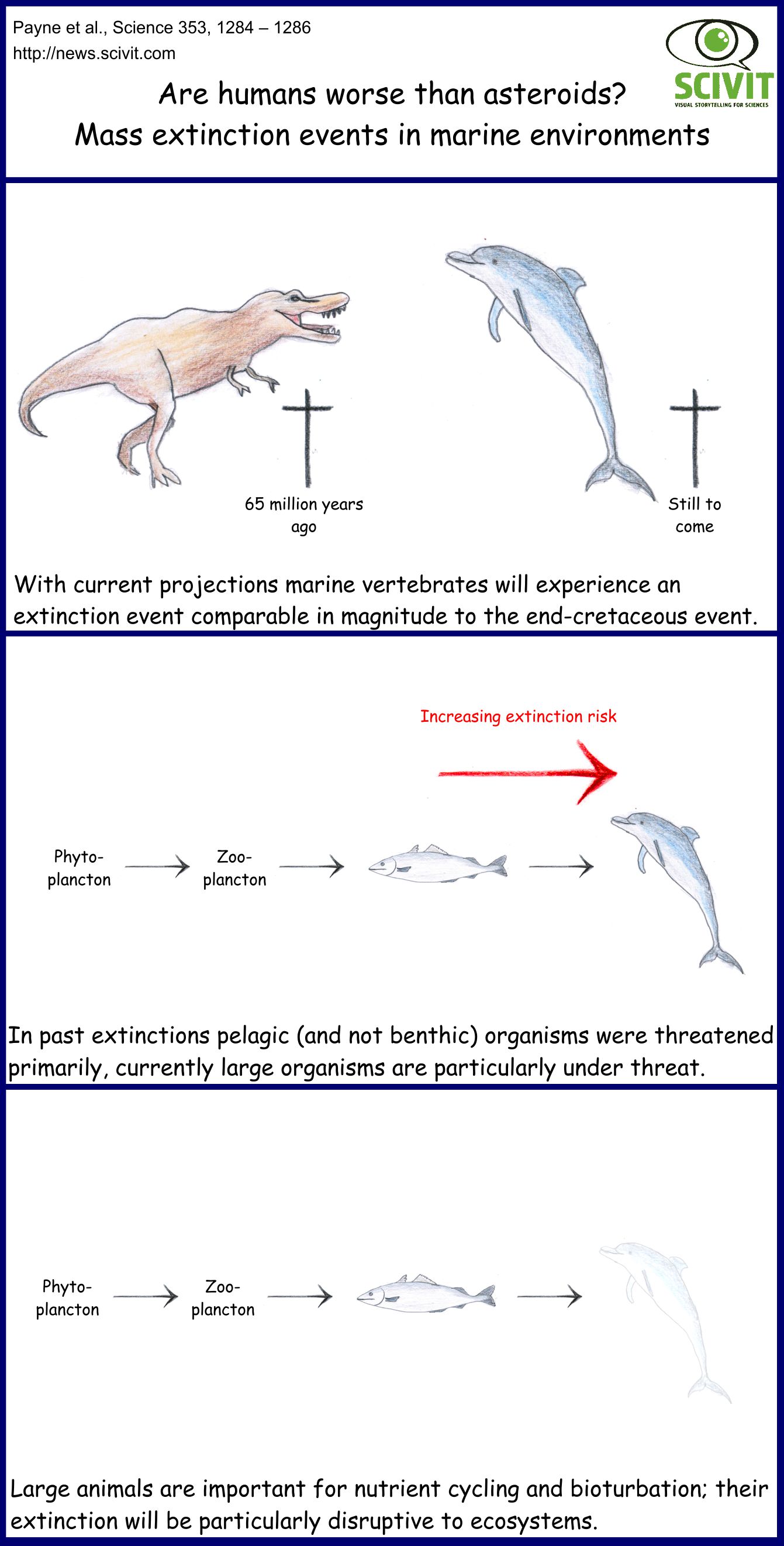 Are humans worse than asteroids? - Mass extinction events in marine environments