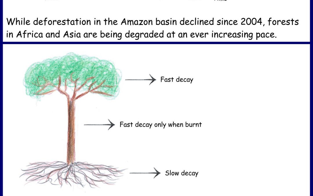 Deforestation legacy