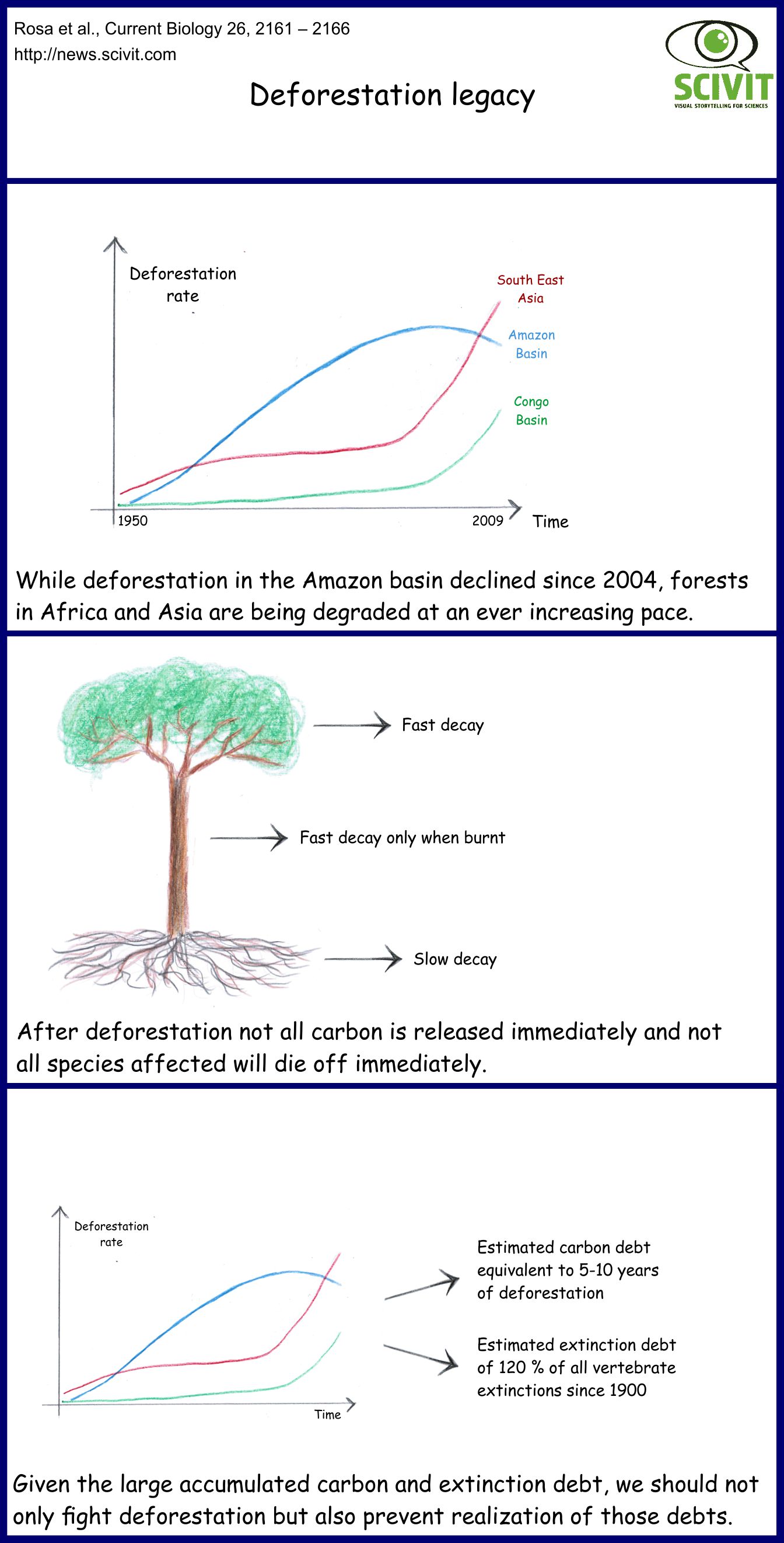 Deforestation legacy