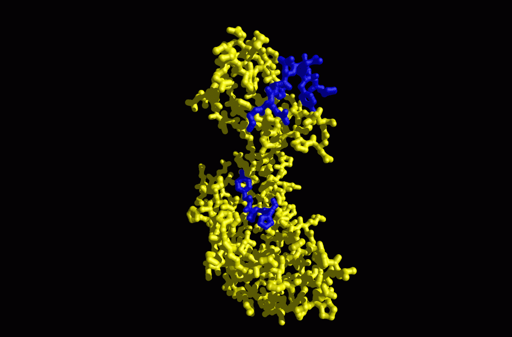 Molecular structure of Peptidyl-prolyl-isomerases