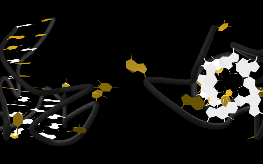 RNA G quadruplexes – only a nuisance?