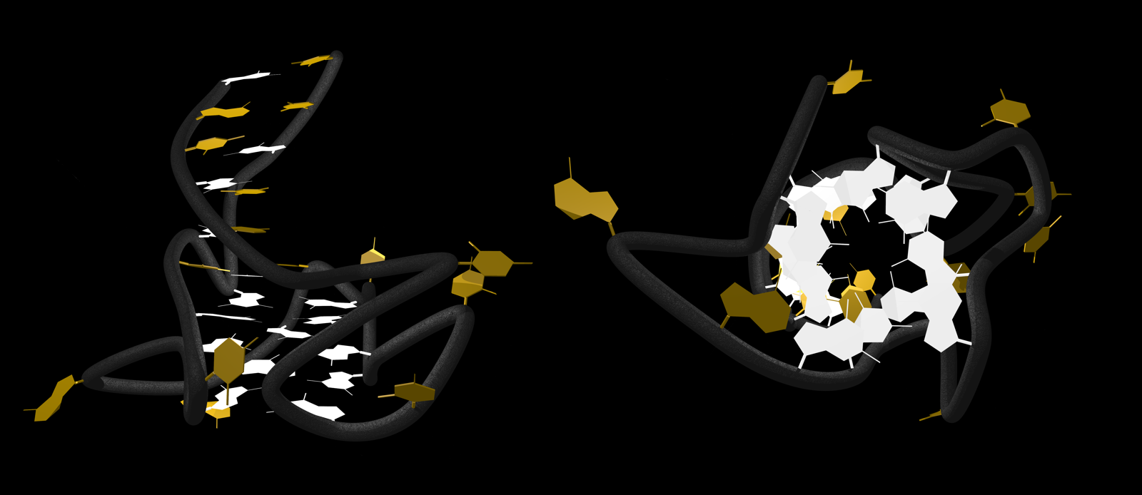 RNA G quadruplex