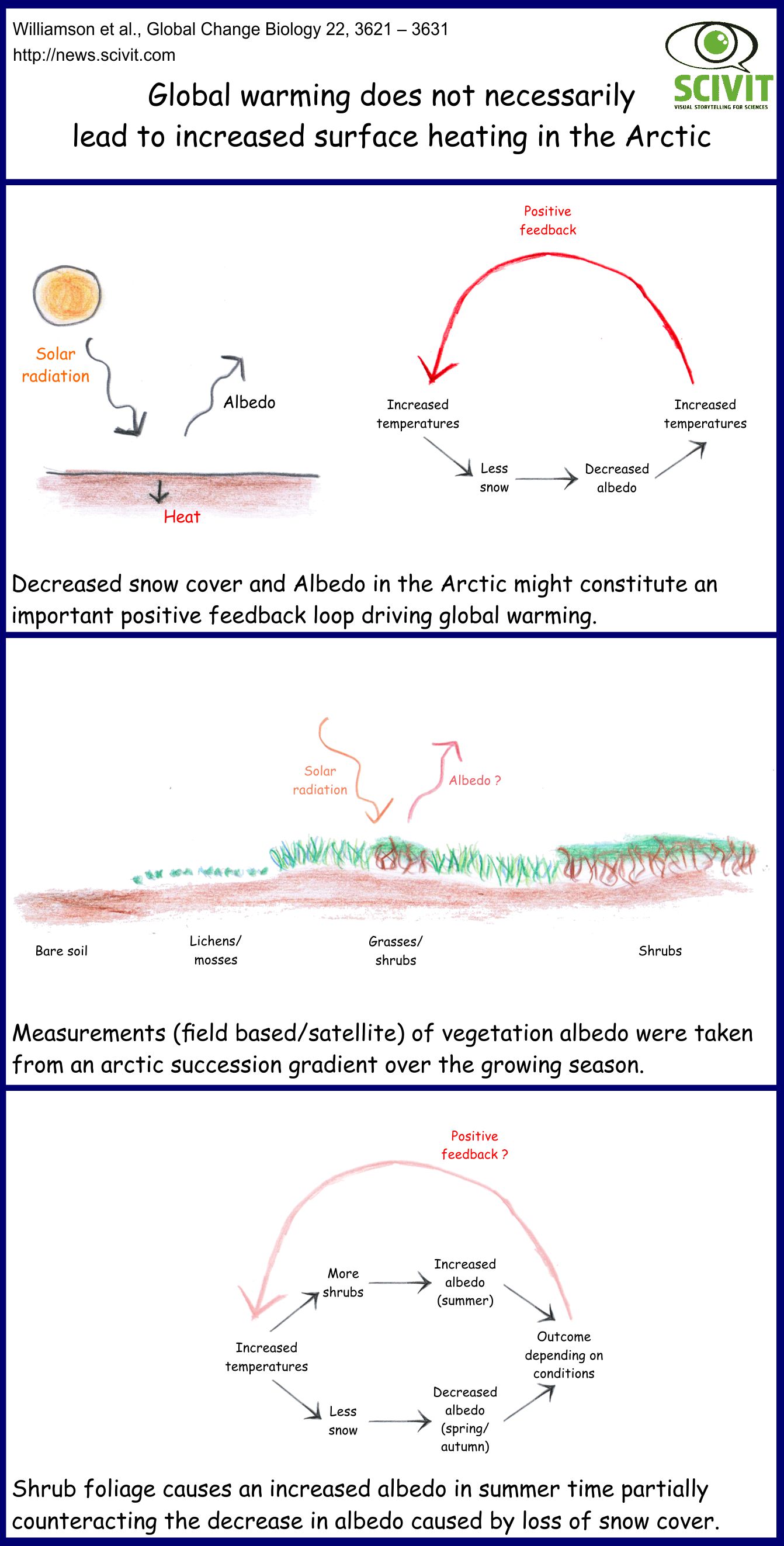 Global warming does not necessarily lead to a decreased arctic albedo