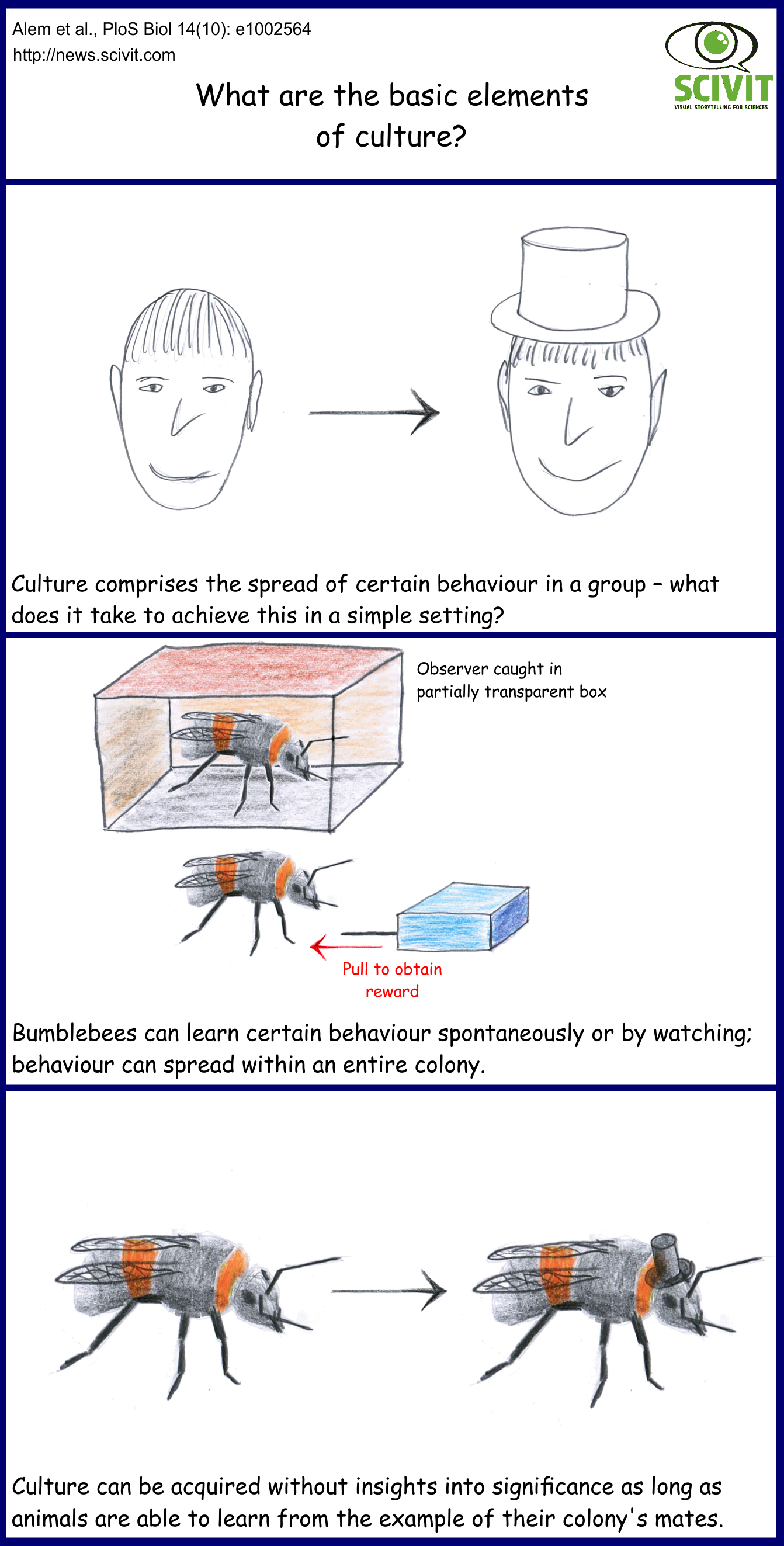 What are the basic elements of culture?