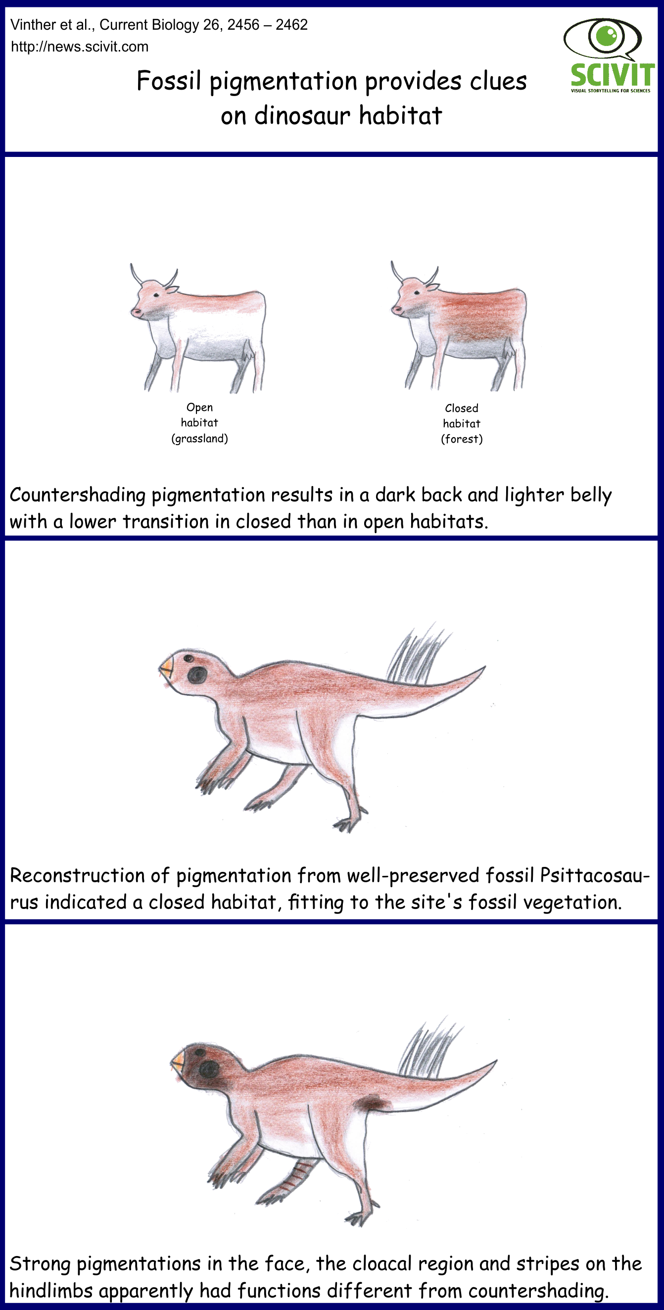  Fossil pigmentation provides clues on dinosaur habitat