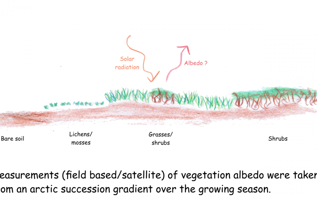 Global warming does not necessarily lead to a decrease in arctic albedo