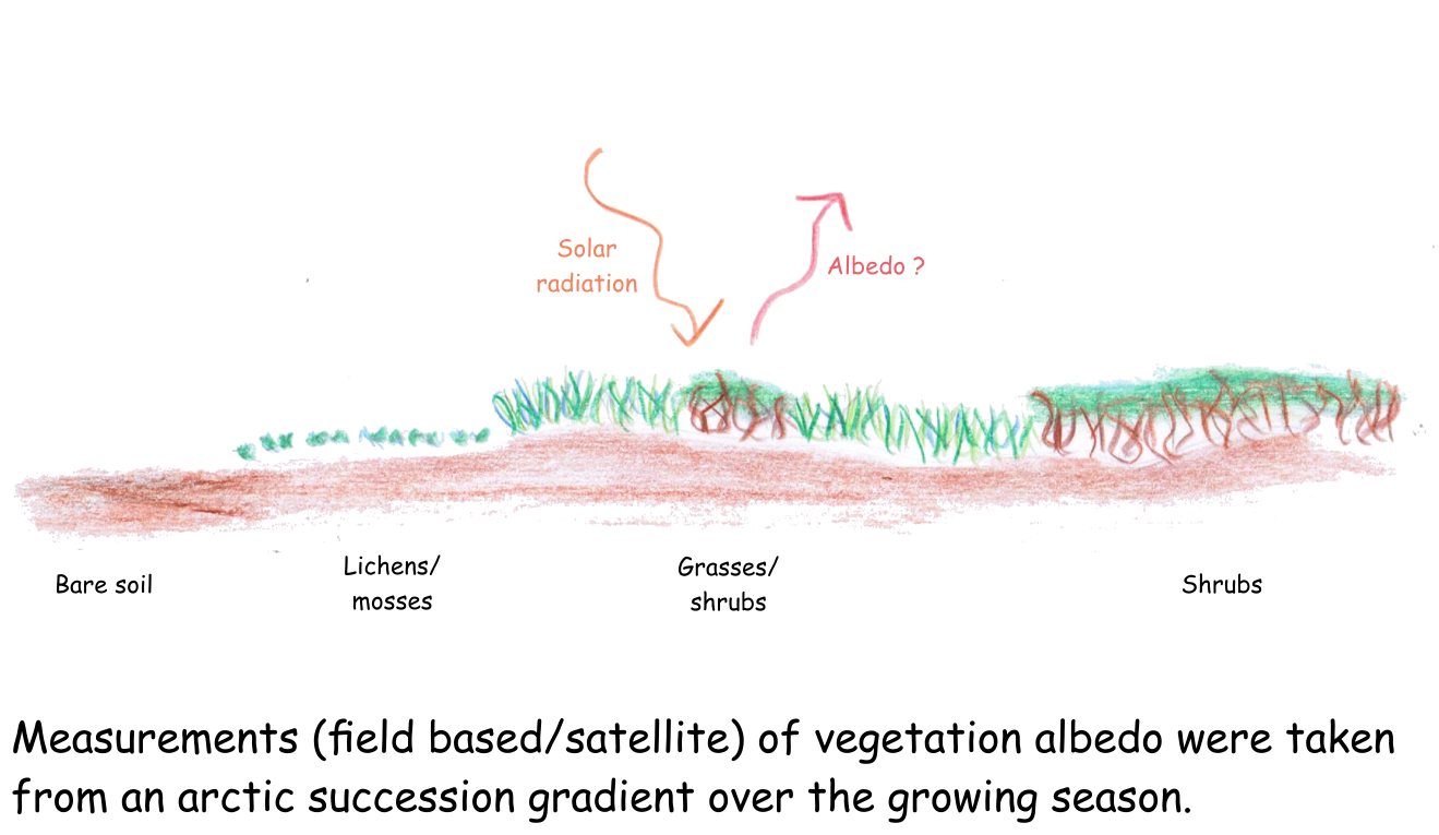 Global warming does not necessarily lead to a decreased arctic albedo