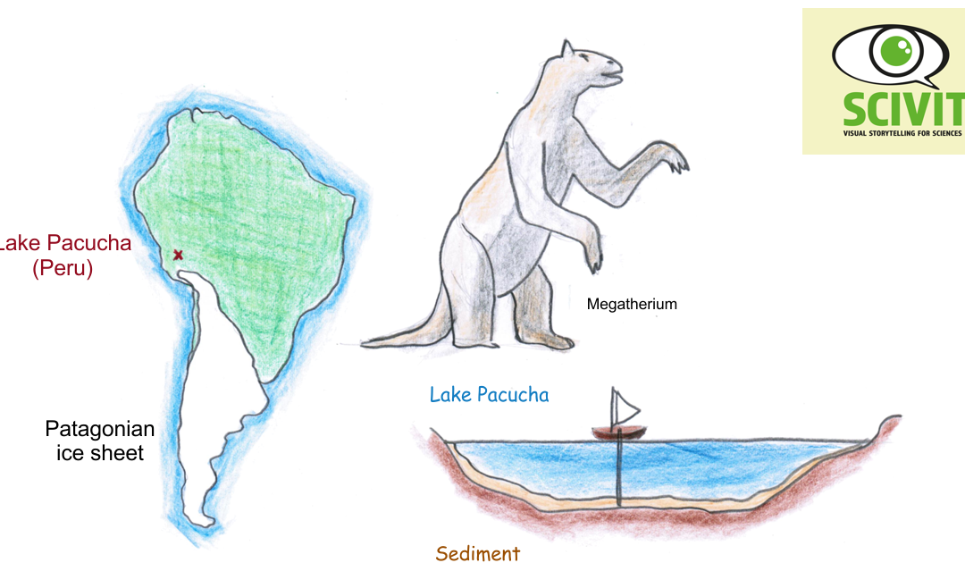 Humans were not responsible for megafauna collapse – at least in South America