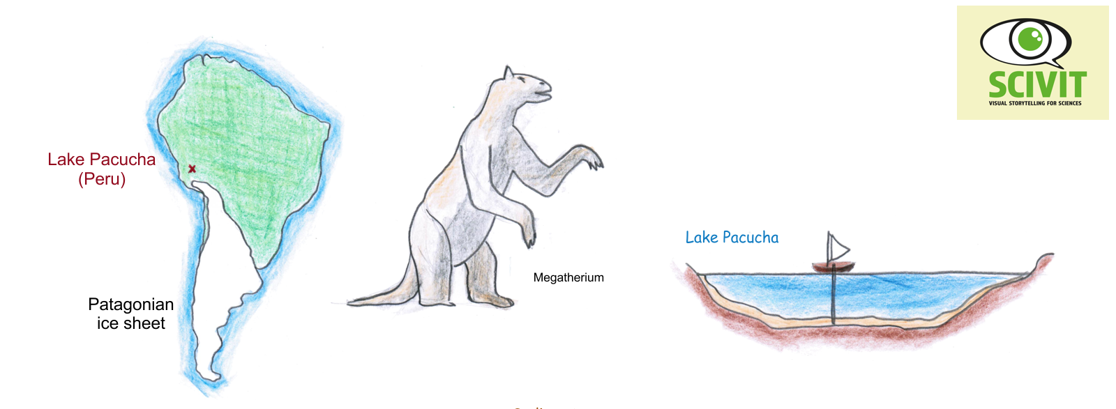 Humans were not responsible for megafauna collapse – at least not in South America