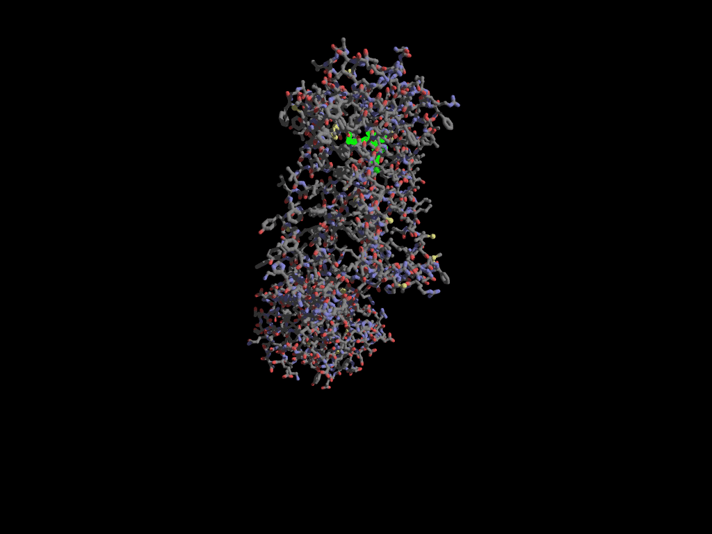 Cannabinoid receptor CB1 from humans Cannabinoid receptor CB1 from humans