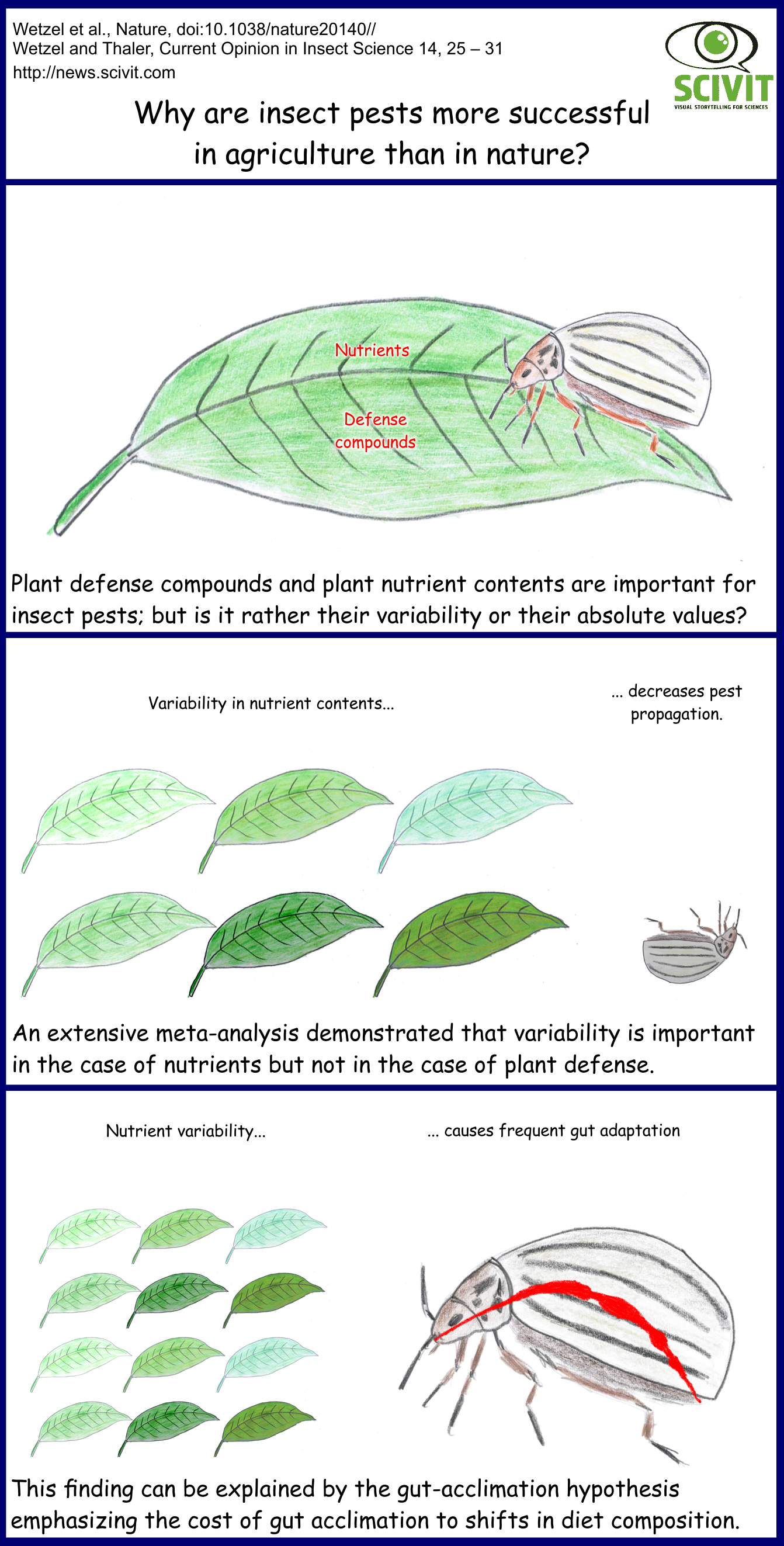  Why are insect pests more successful in agriculture than in nature?