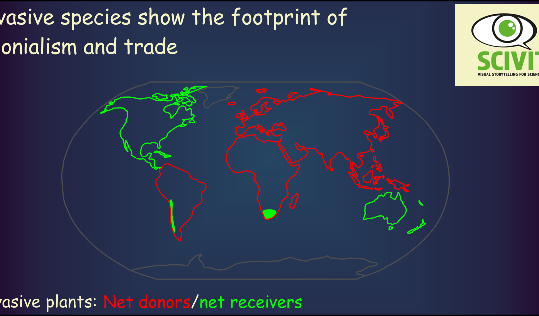 Invasive species show the footprint of colonialism and trade