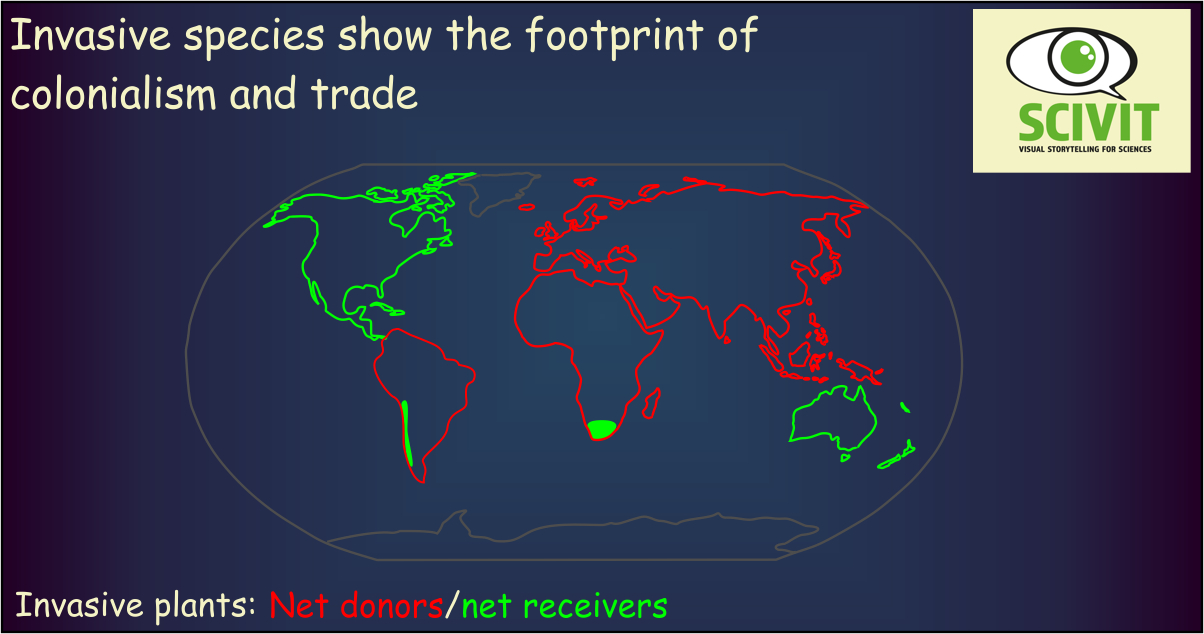 Invasive species show the footprint of colonialism and trade