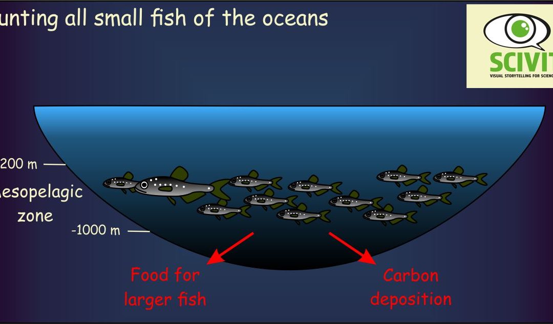 Counting all small fish of the oceans