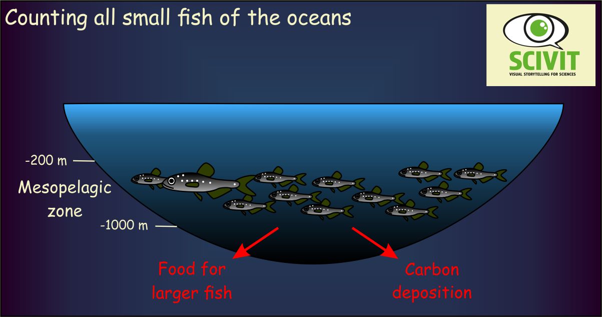 Counting all small fish of the oceans