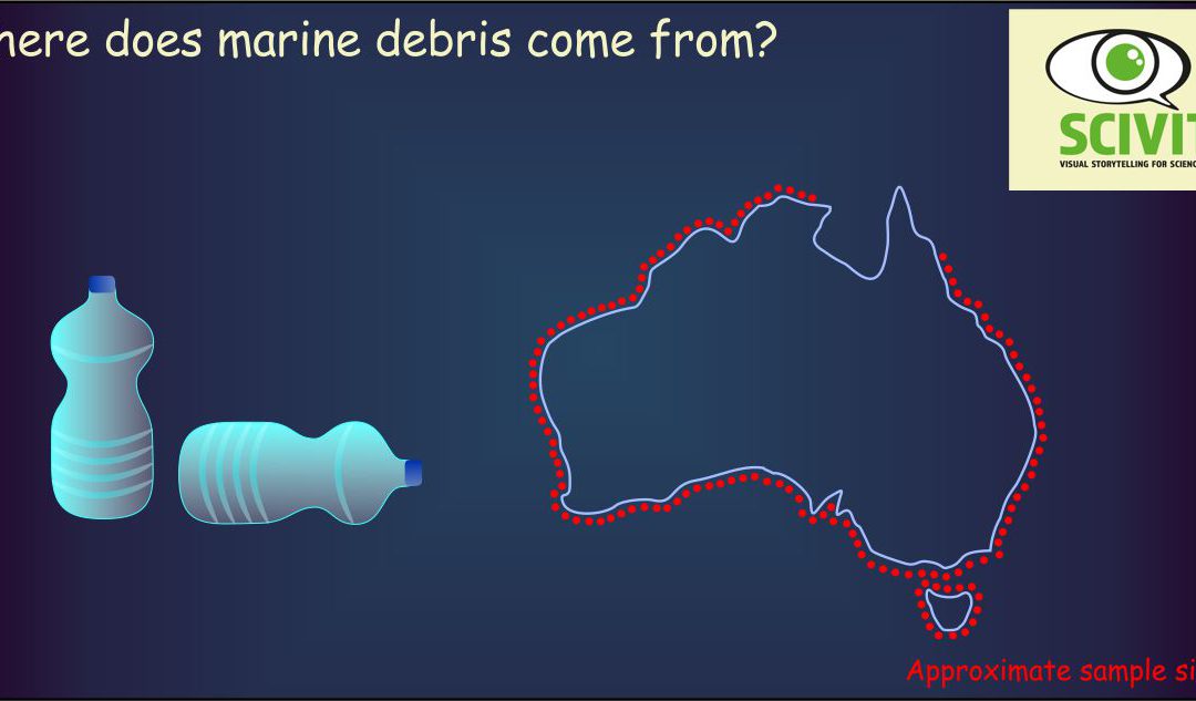 Where does marine debris come from?