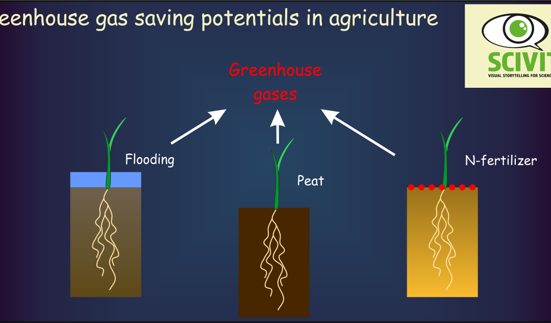 Greenhouse gas saving potentials in agriculture