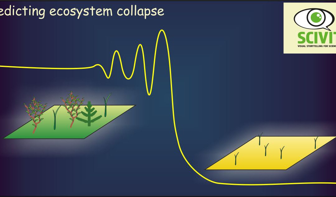 Predicting ecosystem collapse