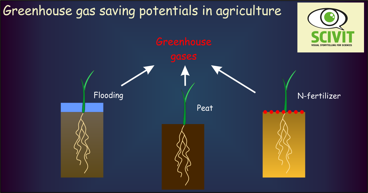 Greenhouse gas saving potentials in agriculture