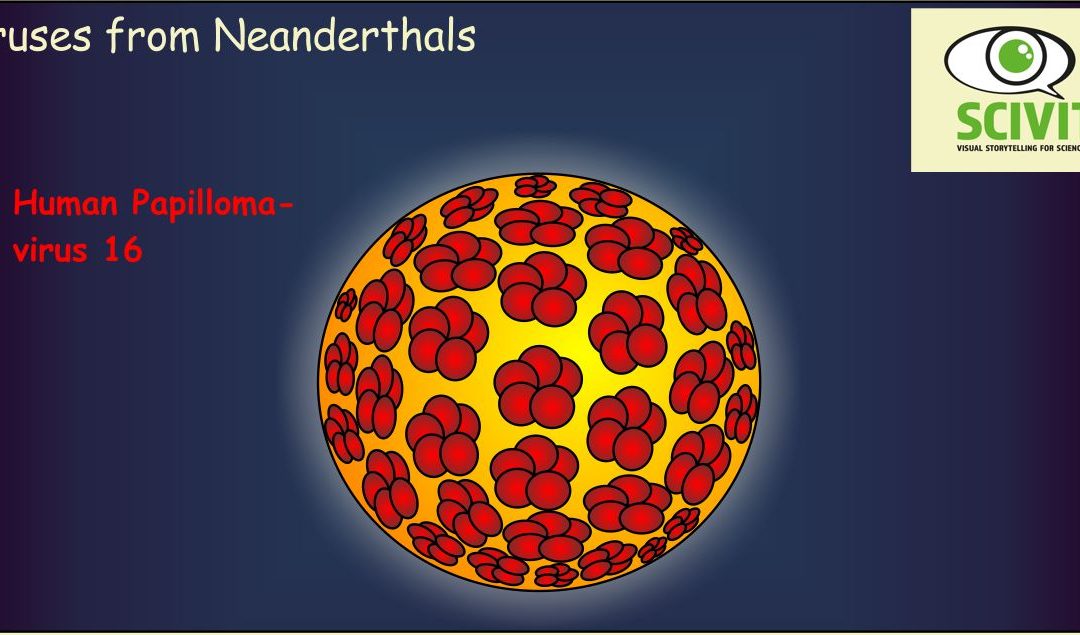 Viruses from Neanderthals
