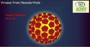 Viruses from Neanderthals