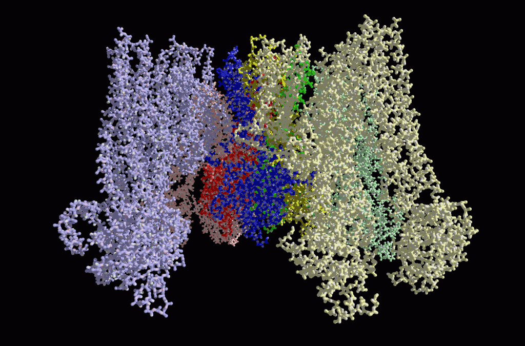 An ATP-sensitive Potassium Channel