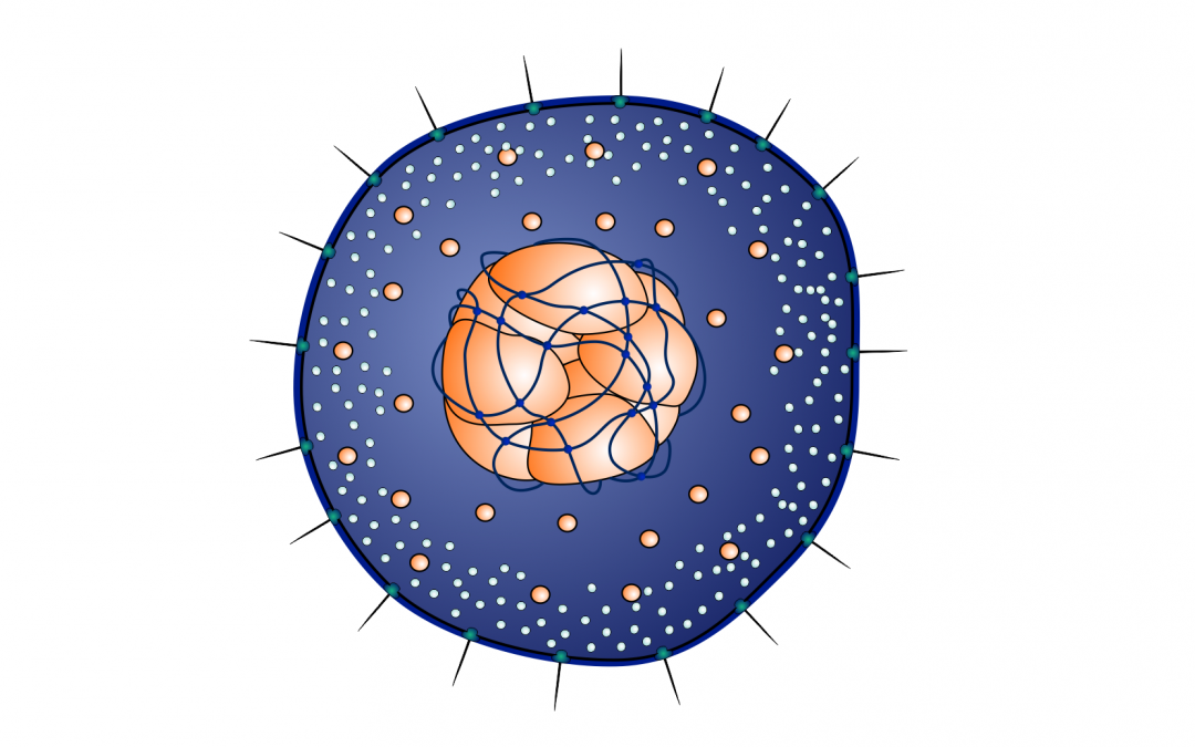 Mechanococcus ciliaphorus, a model organism for studying primary production in subsurface oceans of Dagon 3