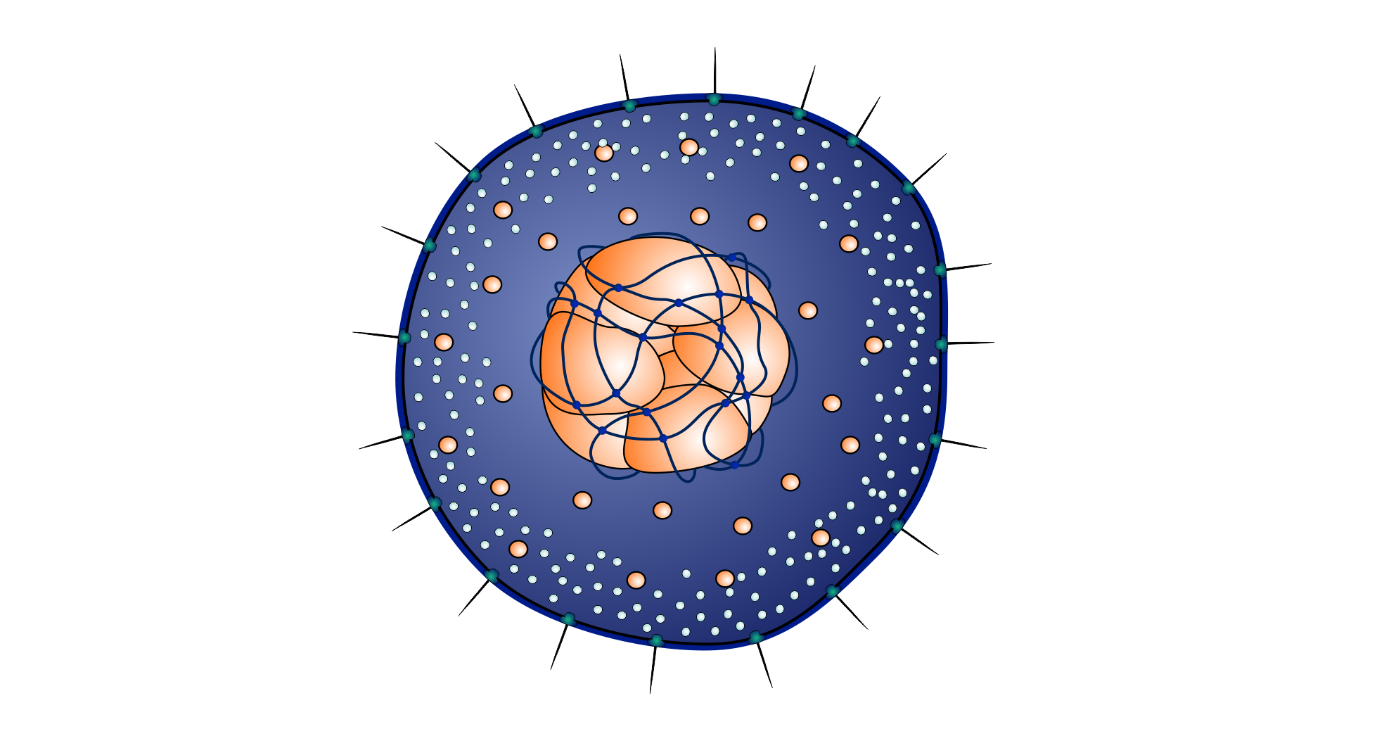 Mechanococcus ciliaphorus, a model organism for studying primary production in subsurface oceans of Dagon 3