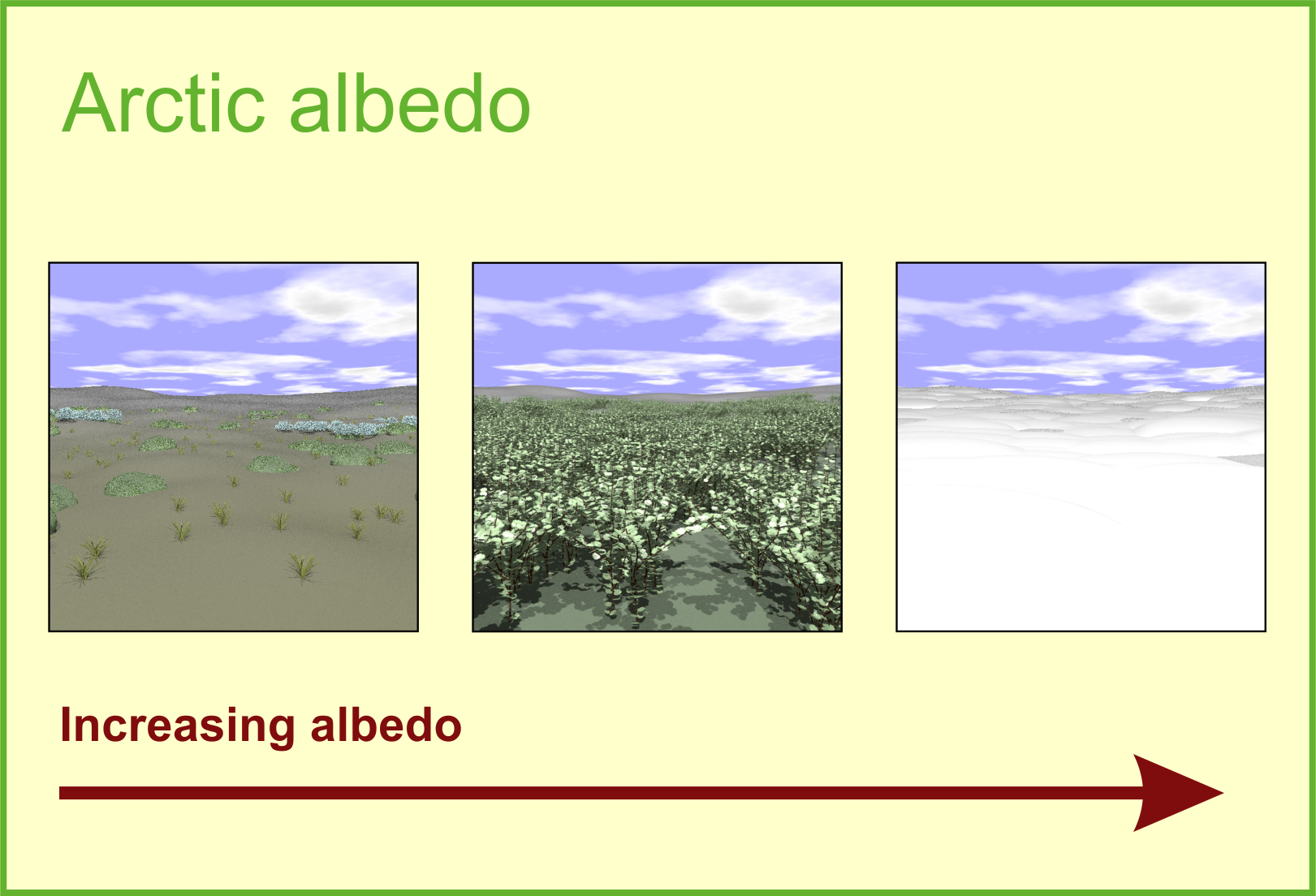 Arctic albedo