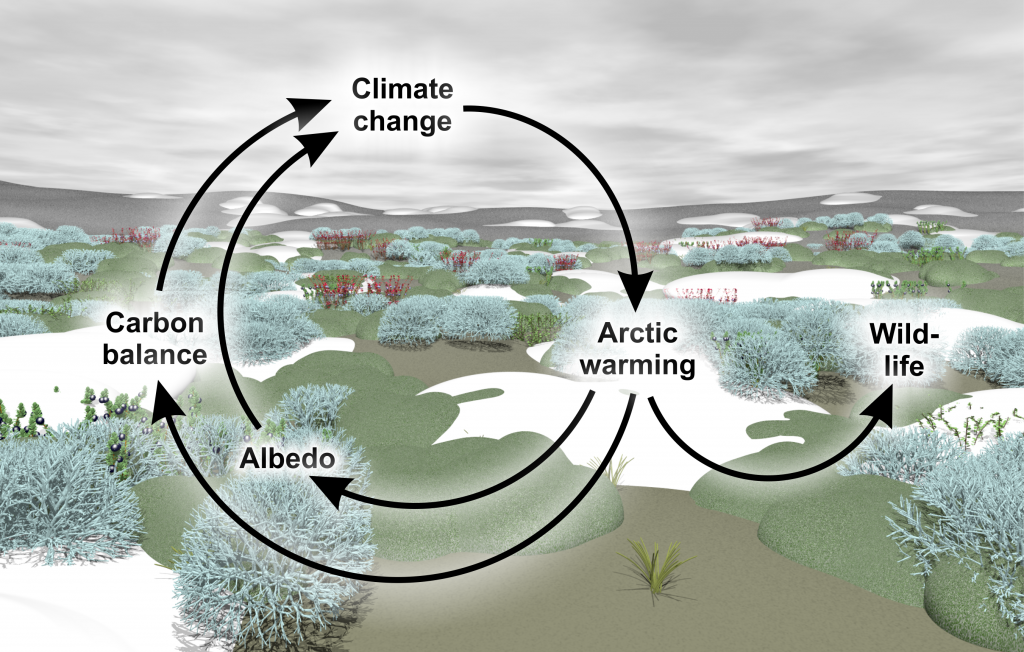 Scivit Newsletter: The tundra biome - a hotspot of climate change Scivit Newsletter: The tundra biome - a hotspot of climate change