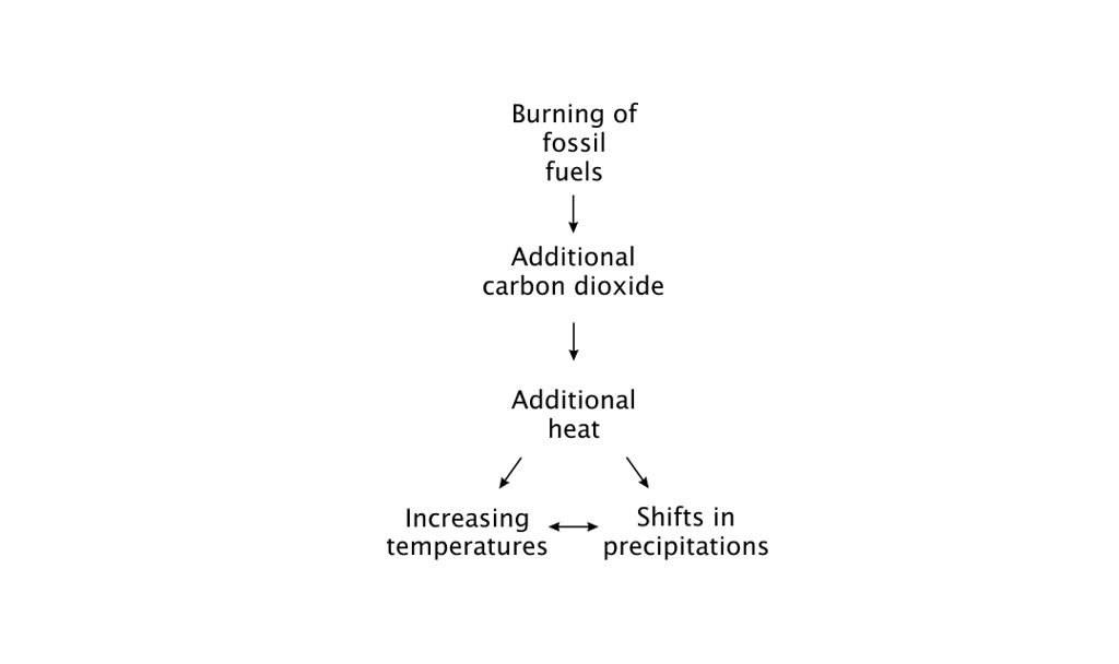 Topology of the respiratory chain