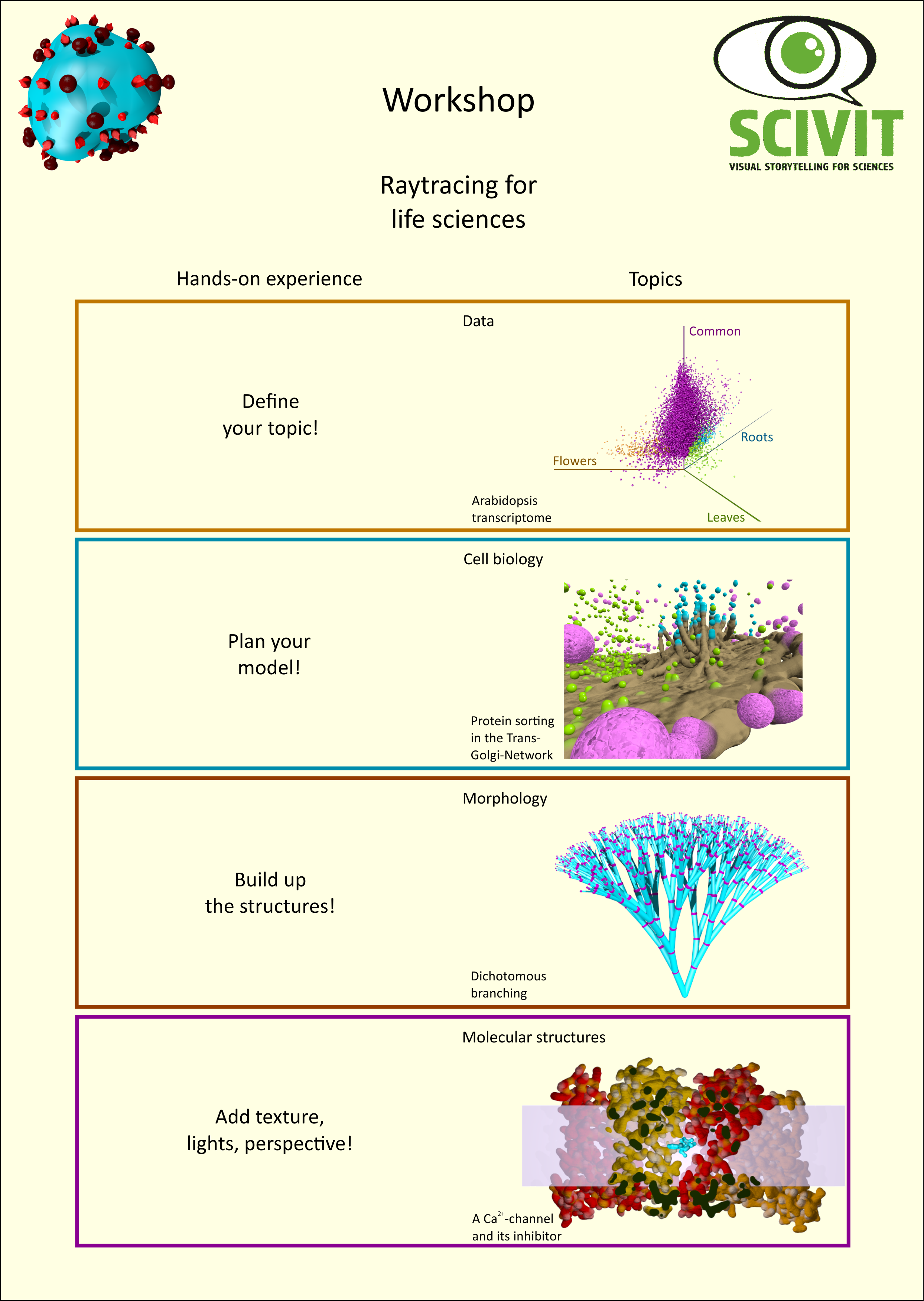 Raytracing for life sciences