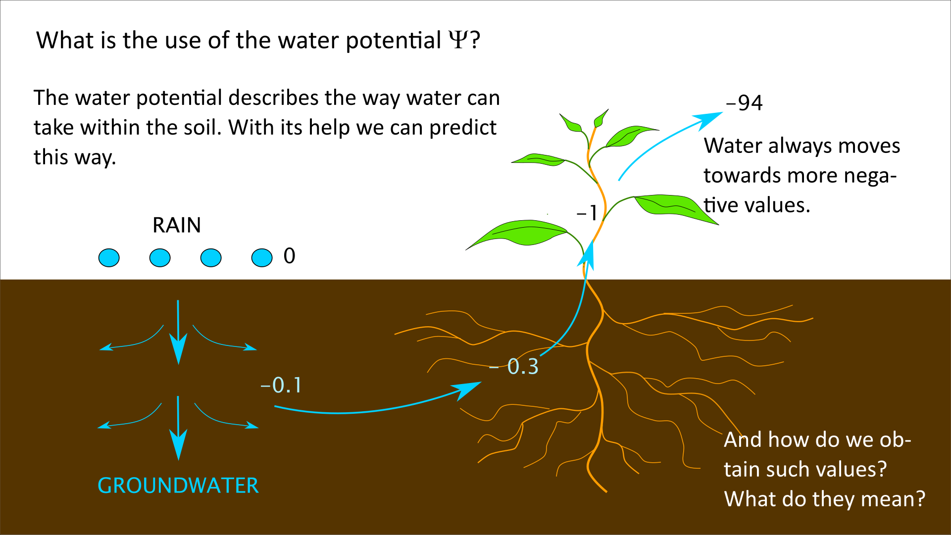 What is the water potential?