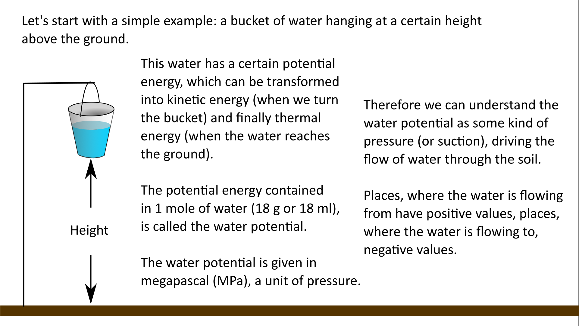 What is the water potential?