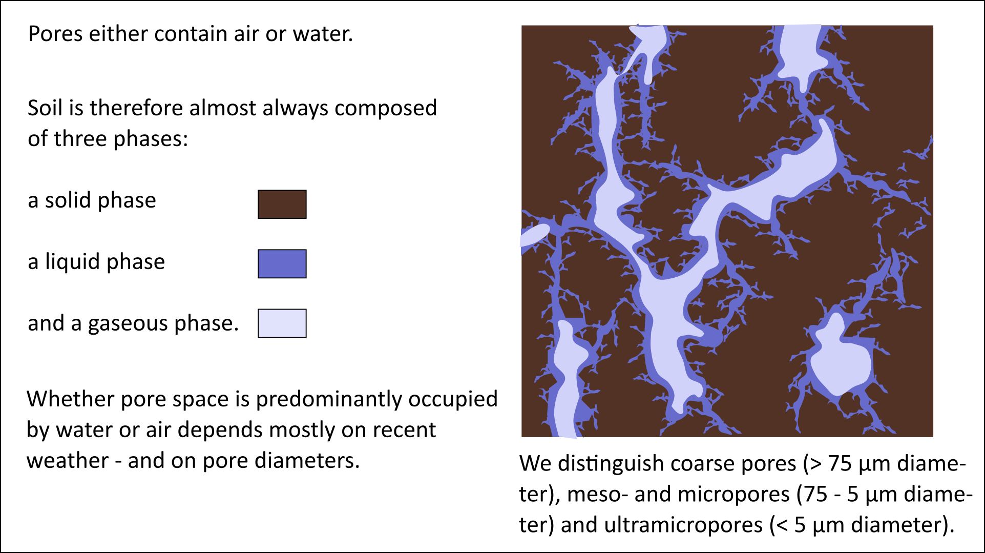 Soil pores and three phases of soil 