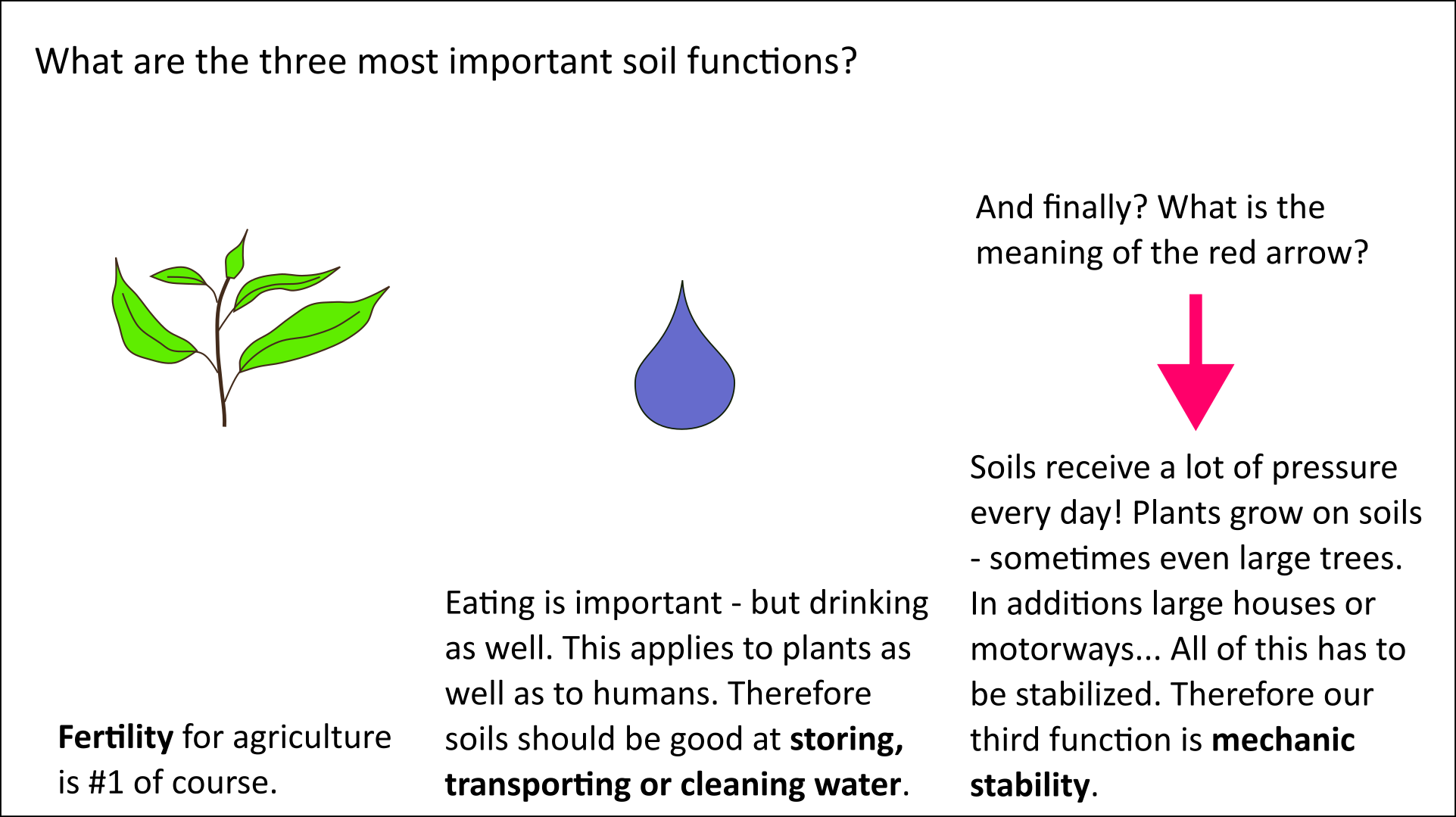 Soil functions: fertility, water, stability