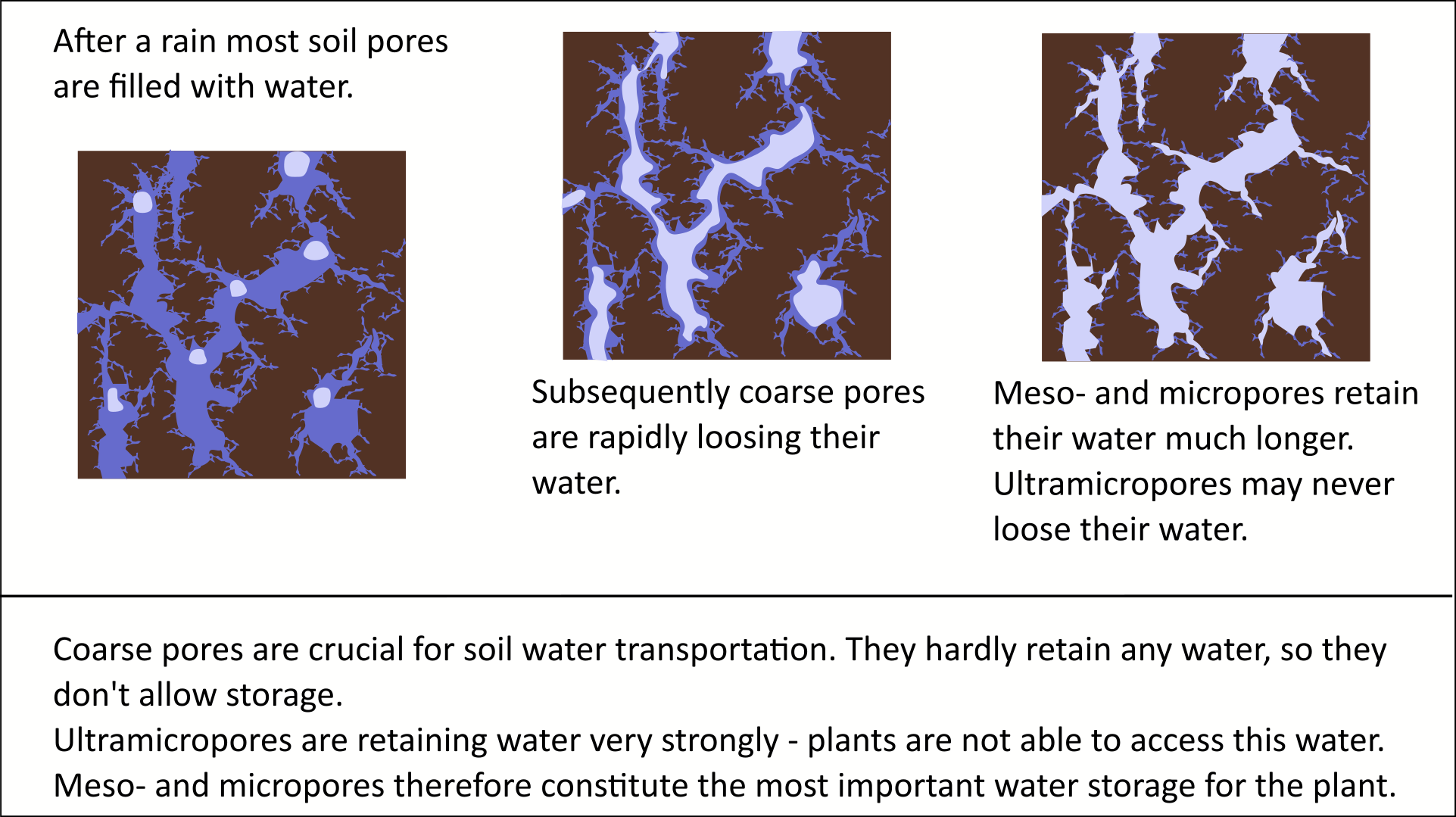 Water retention by soli pores