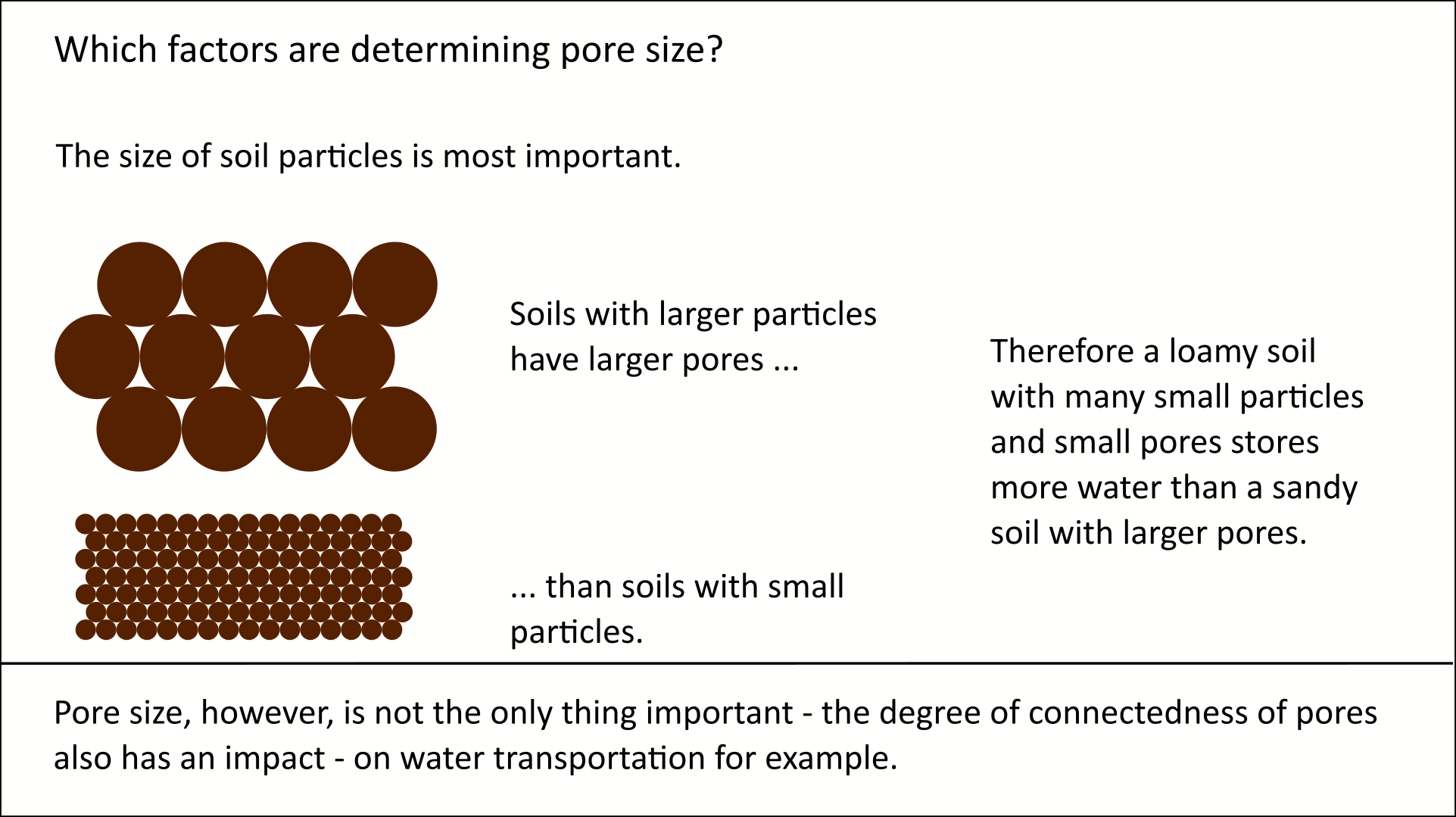 pores and soil particles