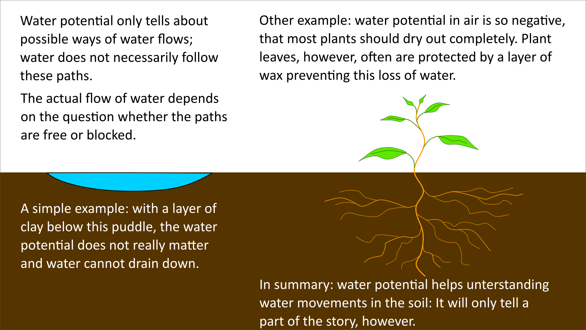 water potential