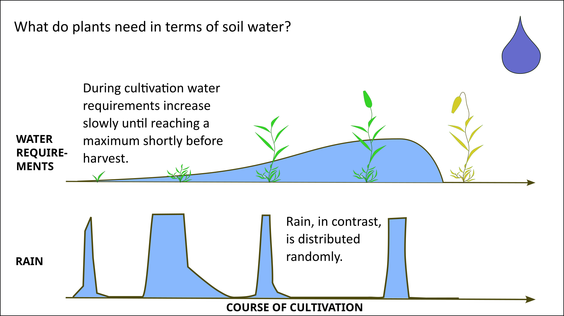 soil buffering water availability