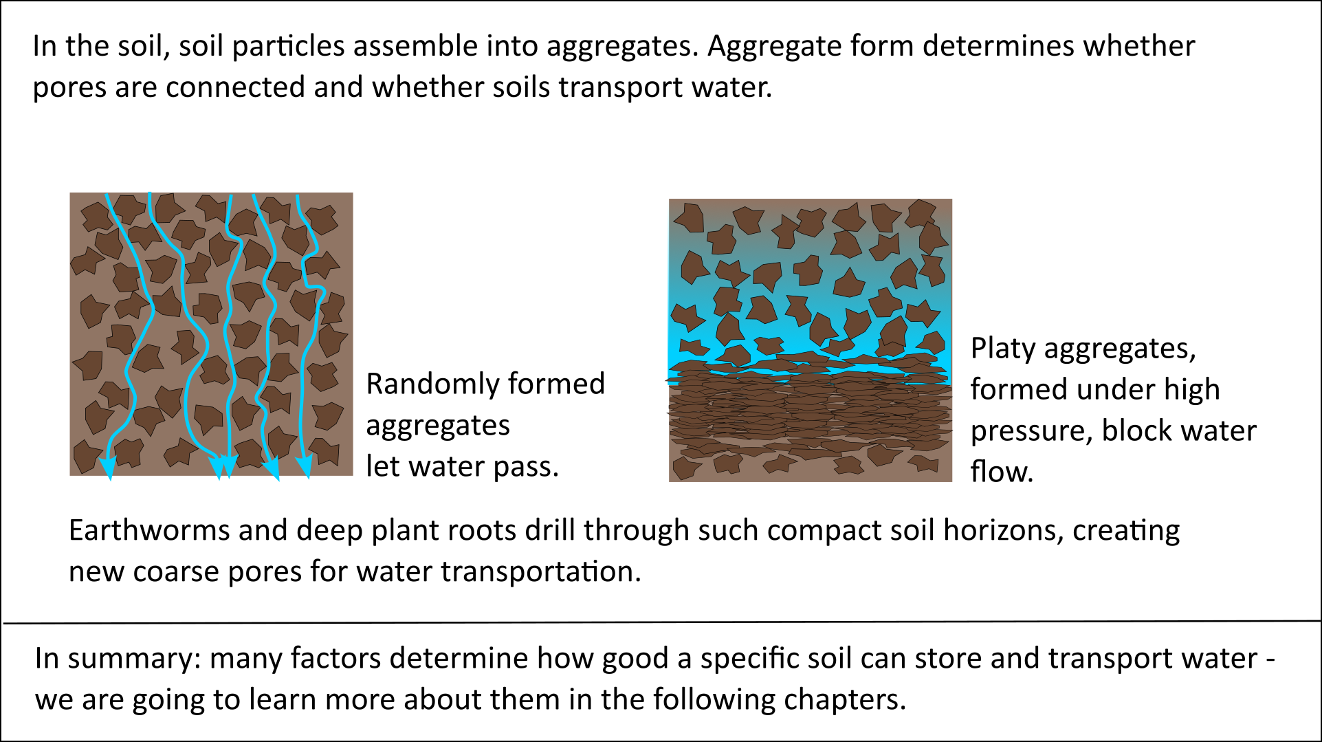 Soil pores and soil aggregates