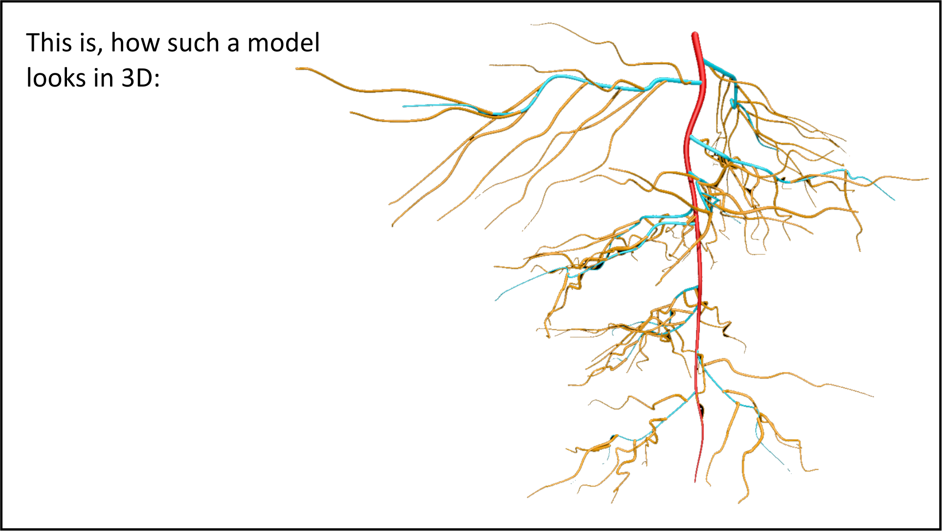 Branched root systems Branched root systems