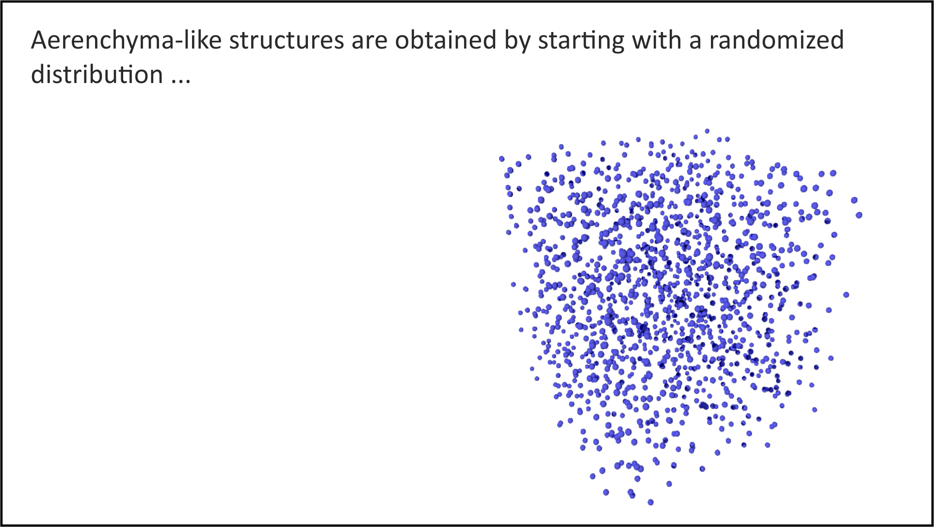 Aerenchyma from randomized cartesian coordinates Aerenchyma from randomized cartesian coordinates