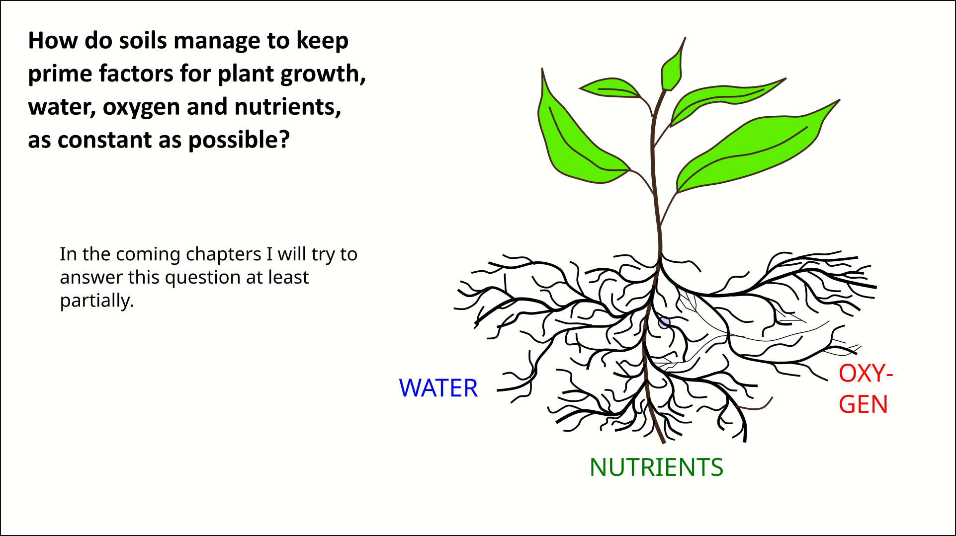 soil buffering water, oxygen and nutrients