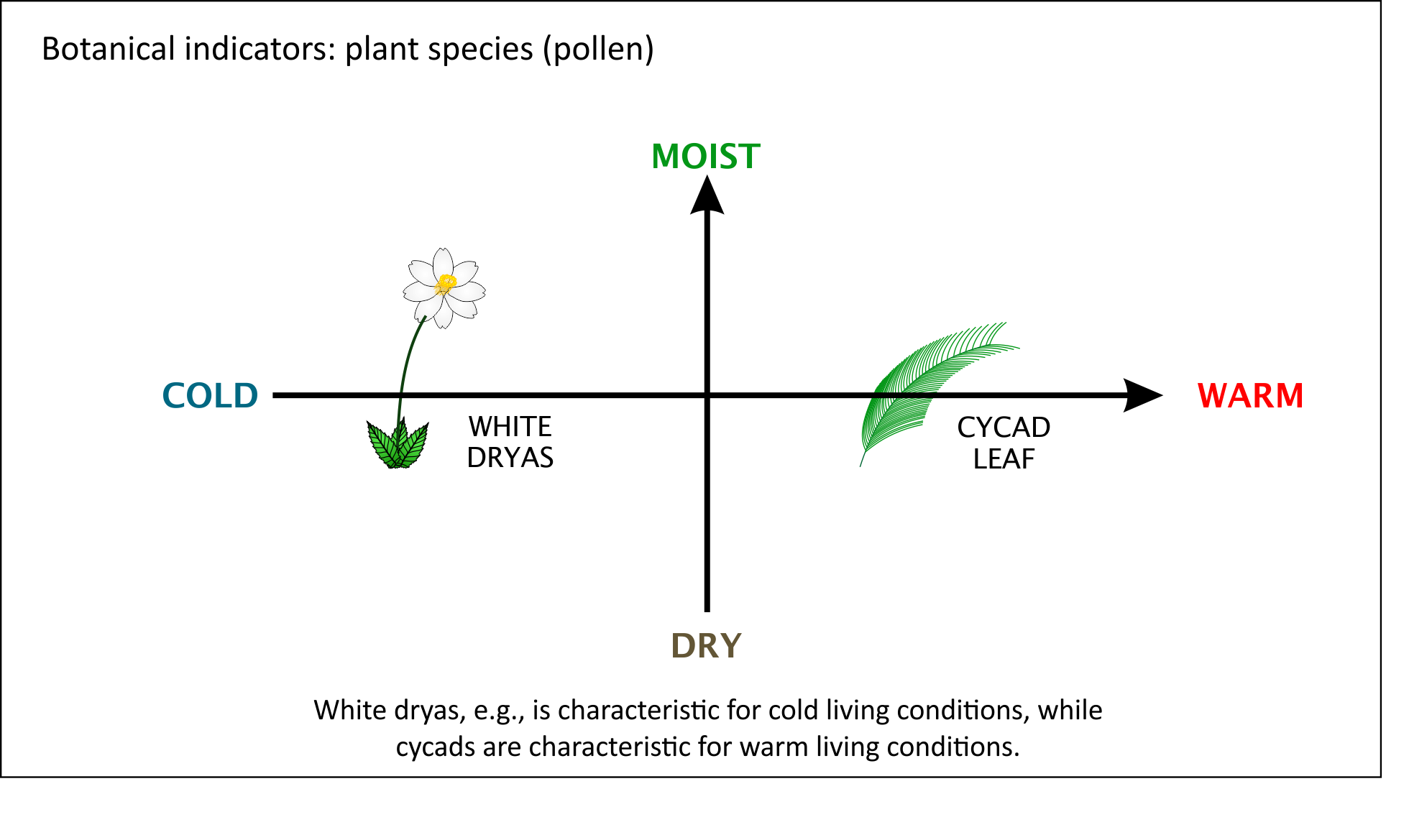 Botanical indicators of past climate Botanical indicators of past climate